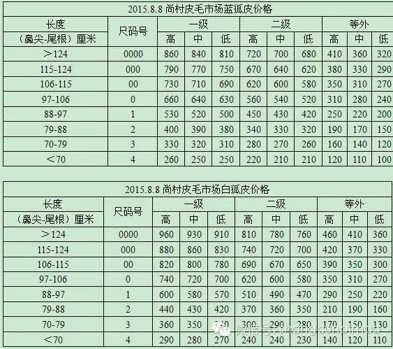 龙争虎斗 第7页