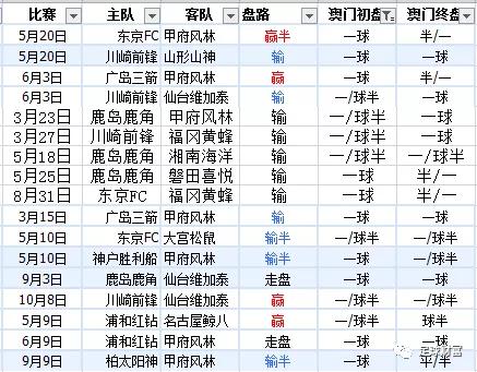 新澳内部资料精准一码波色表,新澳内部资料精准一码波色表，揭秘与解读