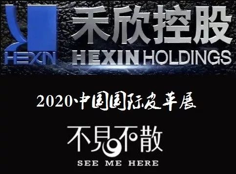 2024新奥门免费资料,探索新奥门，揭秘免费资料的无限可能（2024年展望）