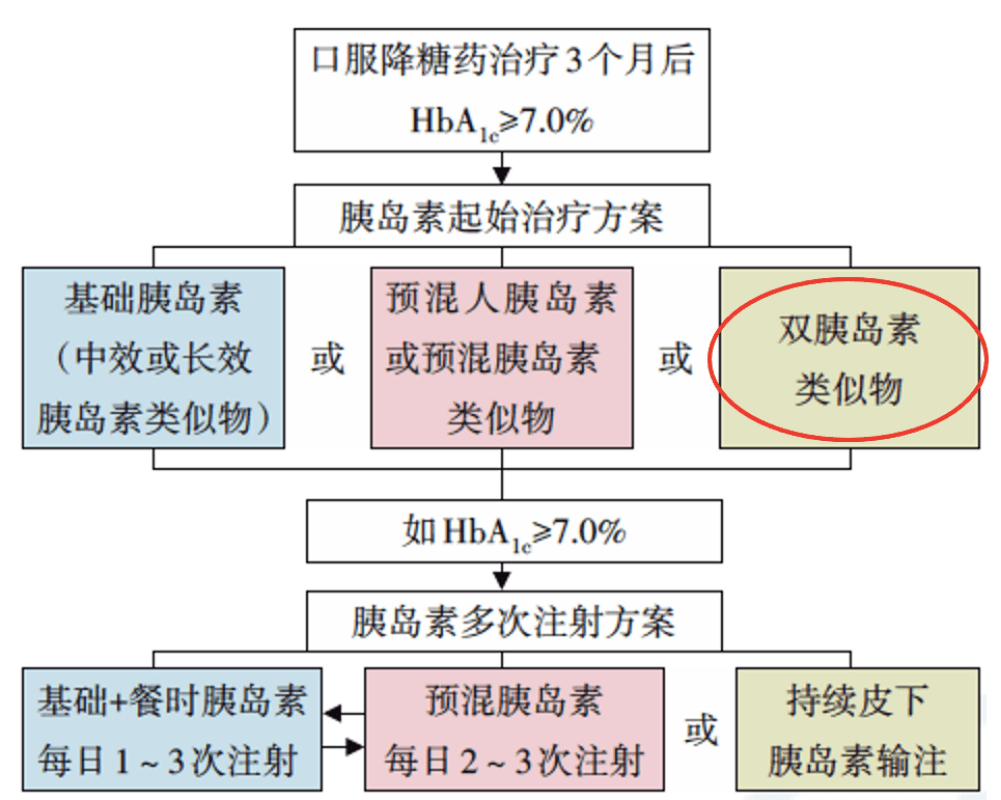 2025年1月17日 第53页