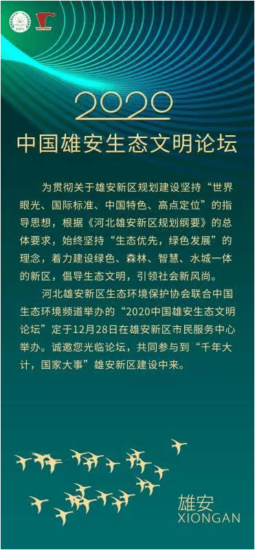 红姐论坛资料大全,红姐论坛资料大全，深度解析与探索