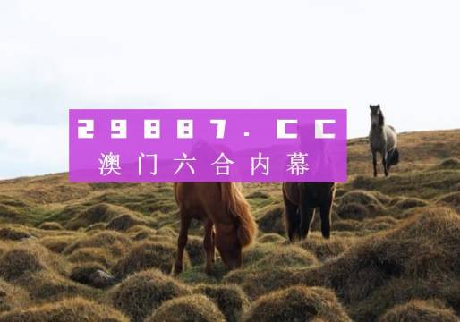 新澳门开奖结果 开奖结果,新澳门开奖结果及其影响