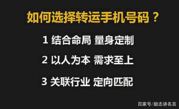 777778888精准跑狗,揭秘精准跑狗，探寻数字组合77777与88888背后的故事