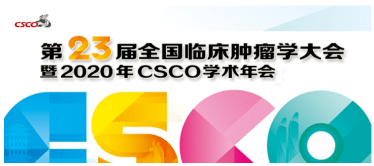 2025新奥资料免费精准051,探索未来，2025新奥资料的免费精准获取之道