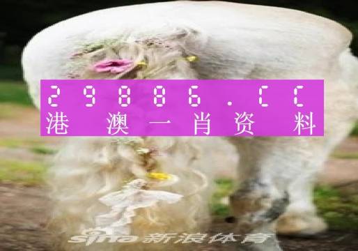 2023澳门正版全年免费资料056期 17-18-26-30-37-40E：27,澳门正版全年免费资料解析，探索056期的秘密与数字魅力（附解析关键词）