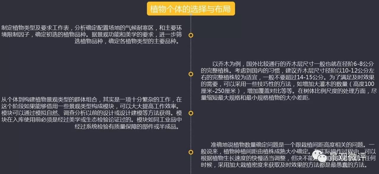 一码一肖100%的资料009期 11-16-23-42-43-45A：40,一码一肖，深度解析第009期资料与策略（附详解）